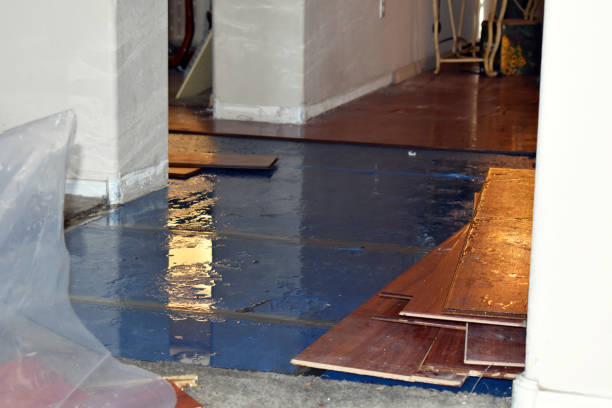 Professional Burst Pipe Cleanup technician working in La Cygne, KS